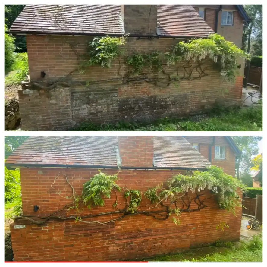 brick-cleaning-before-after.webp